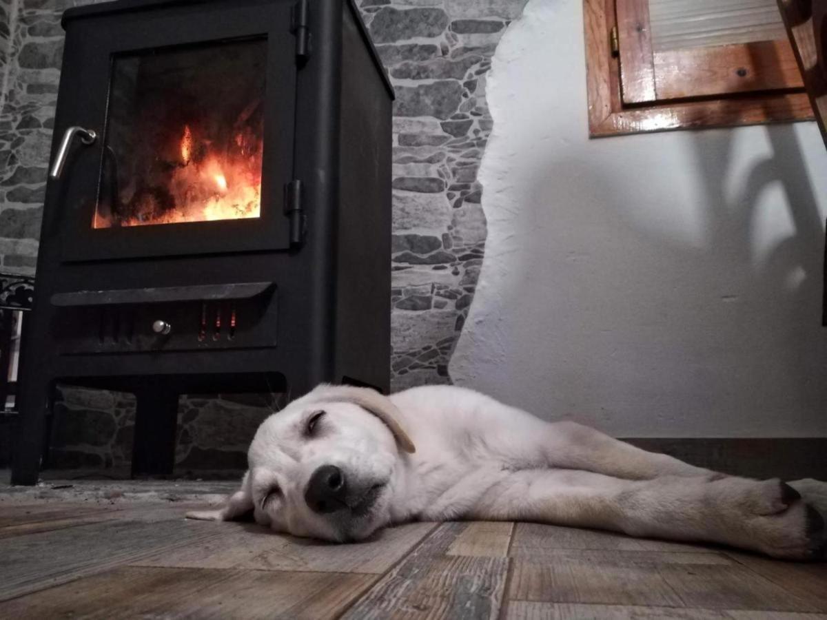 Hauzify I Ca La Nena Morena Villalba Saserra Bagian luar foto