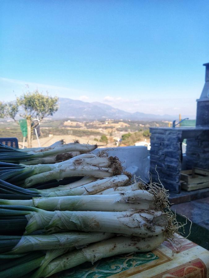 Hauzify I Ca La Nena Morena Villalba Saserra Bagian luar foto