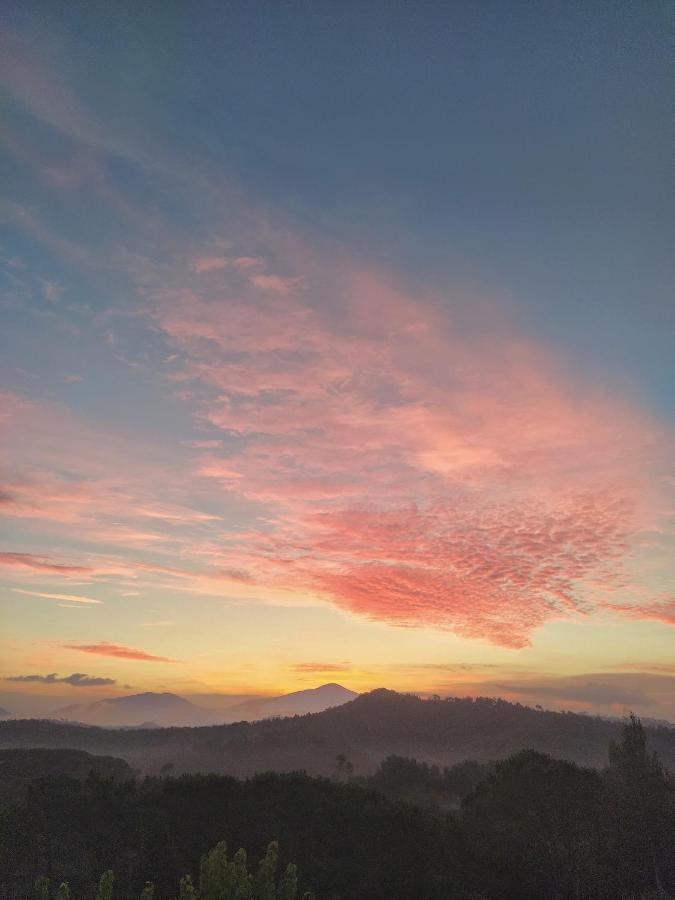 Hauzify I Ca La Nena Morena Villalba Saserra Bagian luar foto
